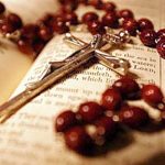 terco-biblia
