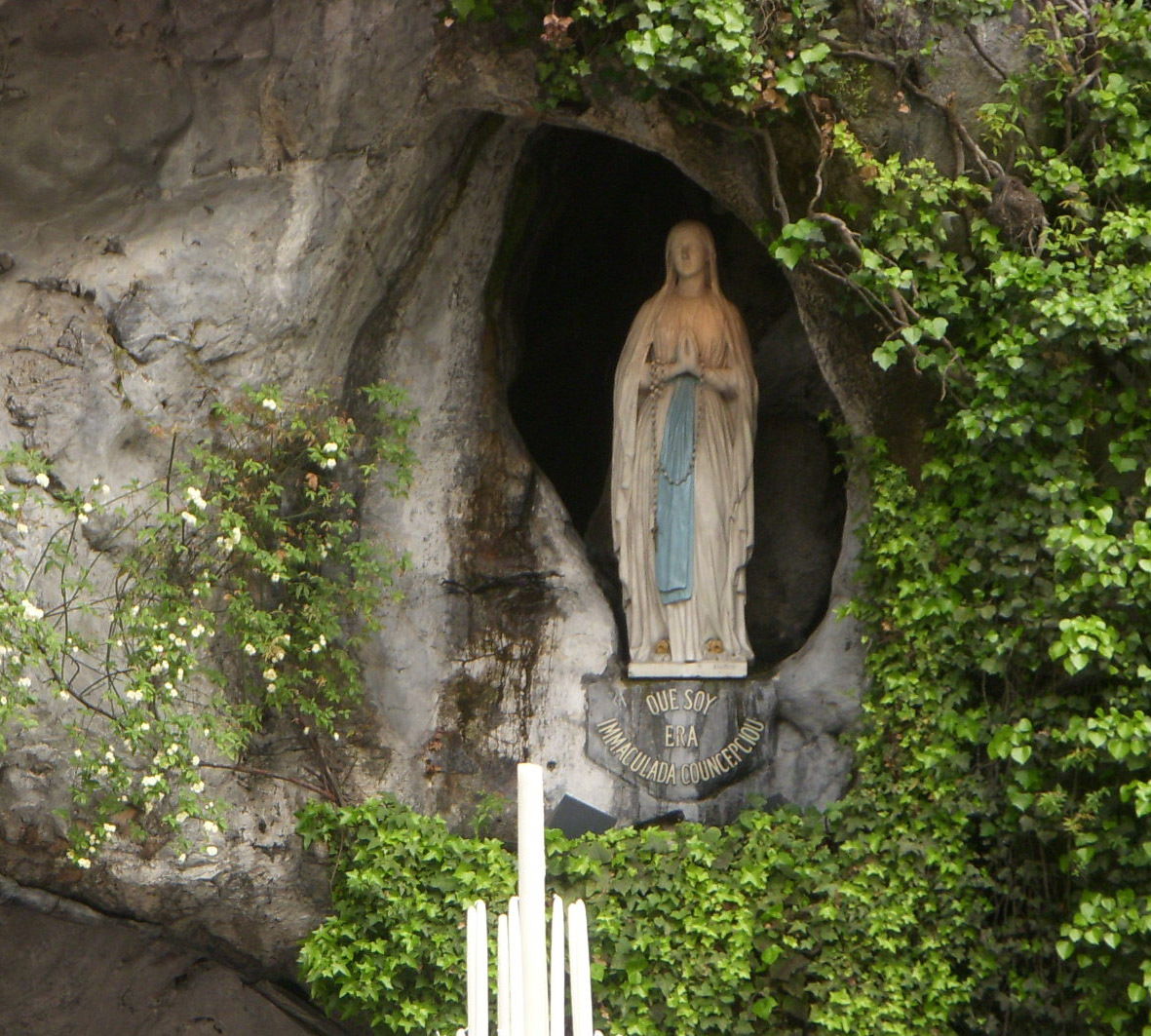 Memória de Nossa Senhora de Lourdes e Jornada Mundial dos 