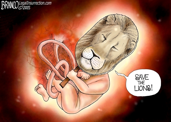 A morte do leão é mais grave do que abortos?