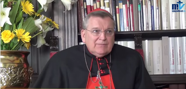 Cardeal Burke: “A melhor forma de servir ao Papa é defender o ensinamento da Igreja”