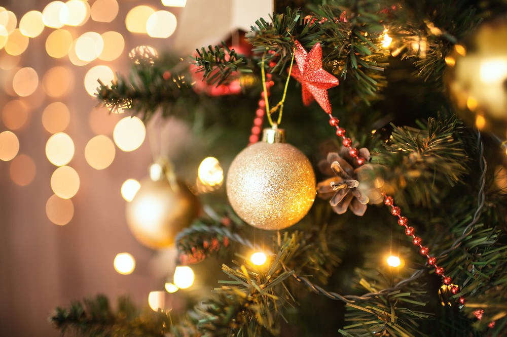 A origem da Árvore de Natal - Portal Divina Misericórdia