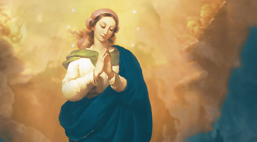 Infográfico: Nossa Senhora da Imaculada Conceição