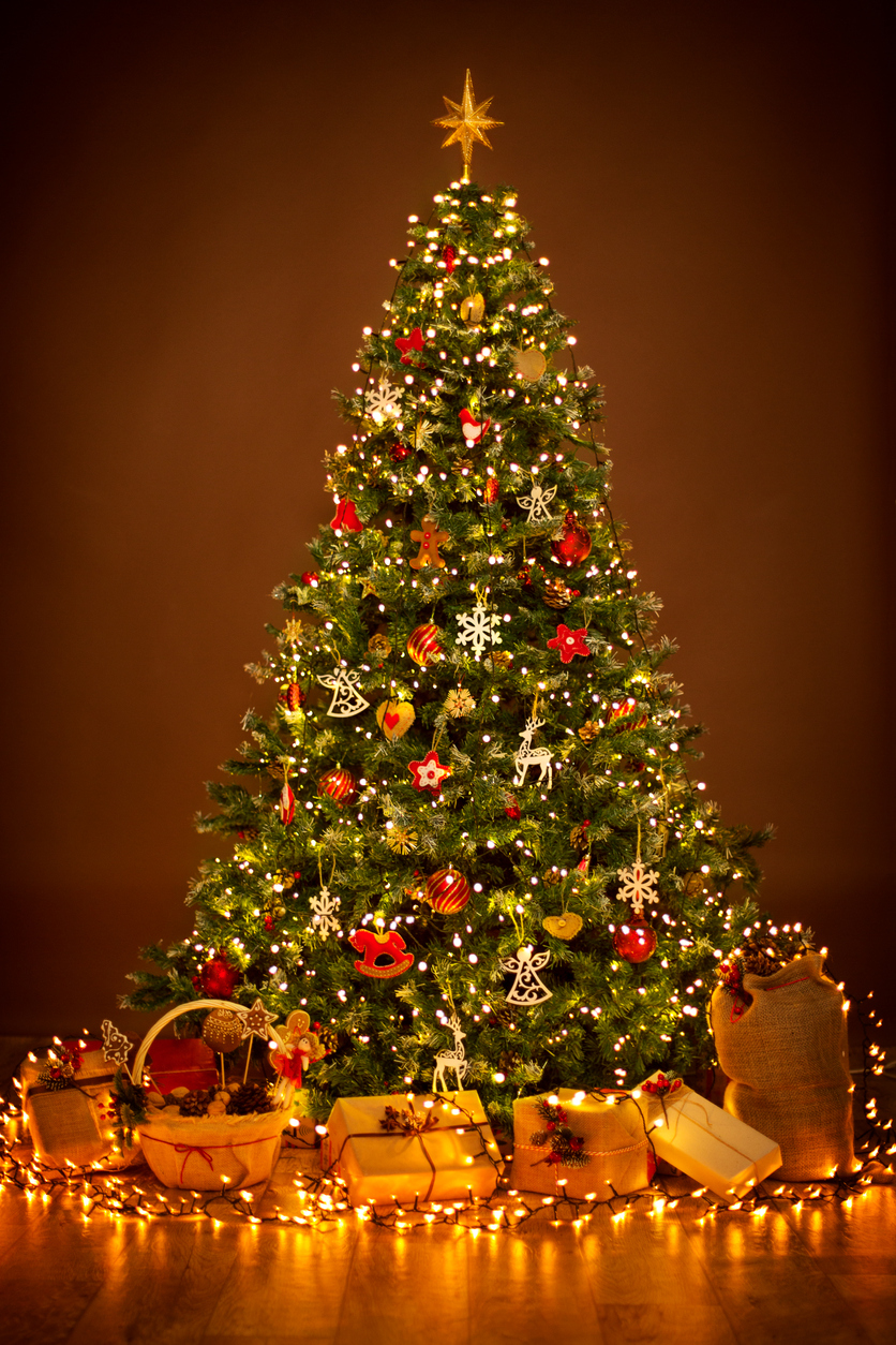 Bênção da árvore de Natal em família - Portal Divina Misericórdia