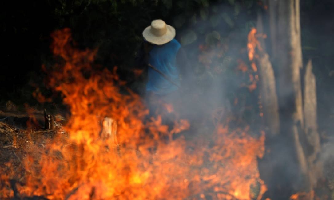 Incêndios na Amazônia: oração pela proteção das florestas